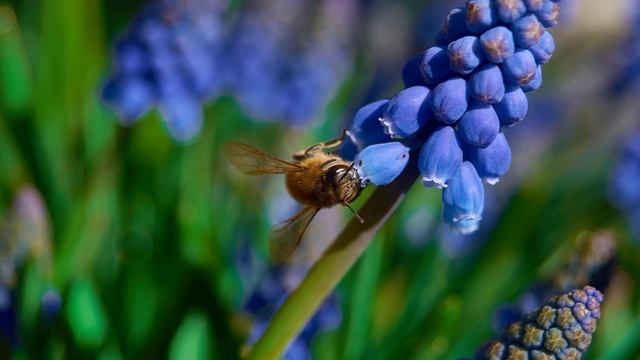 Sony a58 Örnek Fotoğraflar | Sony a58 Sample Images смотреть онлайн