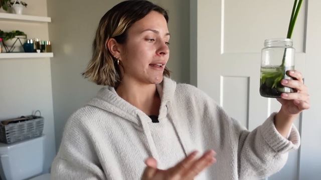 HOUSEPLANT CARE VLOG (: My Plant Car Routine When Everything Needs Care At Once