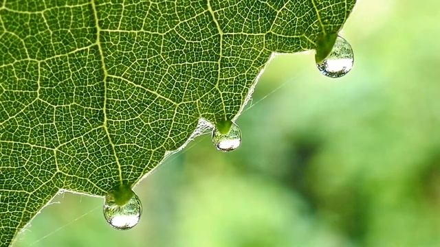 МТ медитация стихия Земля смотреть онлайн