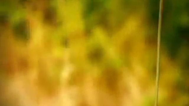 Порыв ветра смотреть онлайн