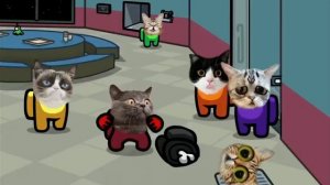 песня мяу мяу мяу