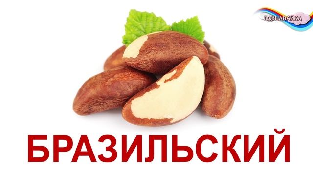 Орехи для детей. Детские развивающие картинки ОРЕХИ. Мультик про орехи. смотреть онлайн