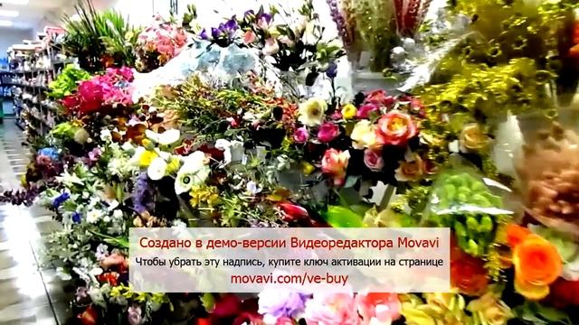 Микрос. Территория праздника в Брянске- магазин праздничных товаров. Август2015 г. смотреть онлайн