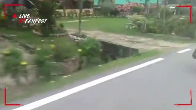 Top speed смотреть онлайн