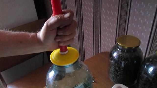 Ферментация листьев вишни,смородины,малины в вакууме для фруктового чая. смотреть онлайн