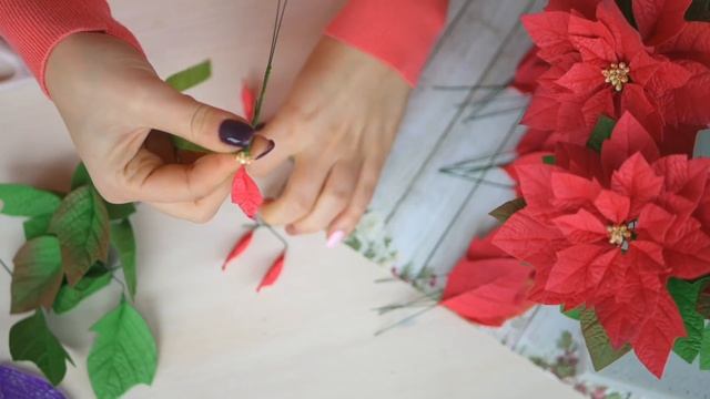 Poinsettiya own hands / Пуансеттия своими руками DIY Tsvoric смотреть онлайн