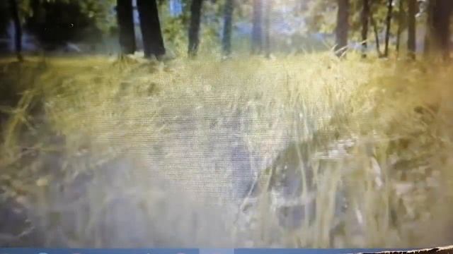 Пълнолуние в Овен, 29.09 - избери да си! смотреть онлайн