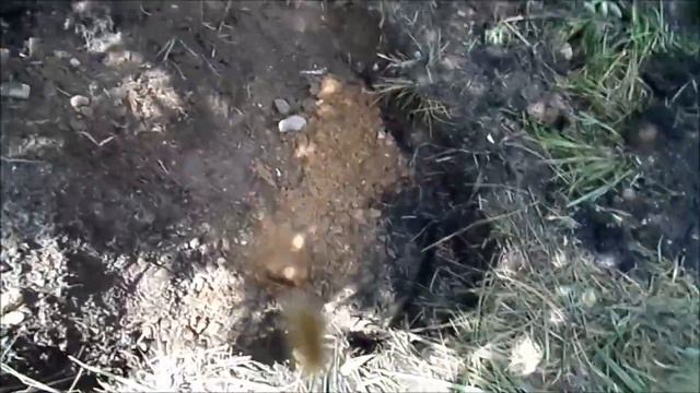 Волшебные шары на 700кг смотреть онлайн