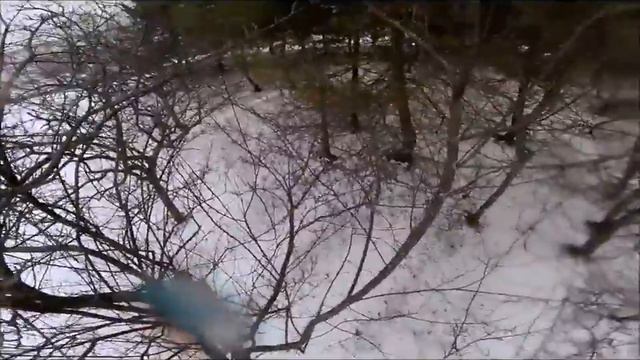 белка украла камеру и сняла 134 секунды своей жизни Seconds in the Life of a Squirrel смотреть онлайн