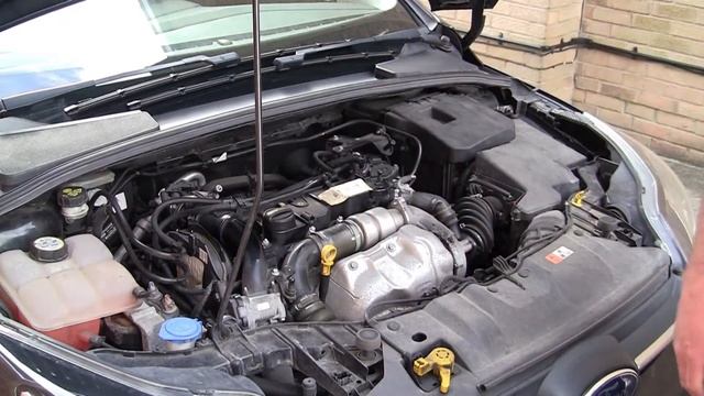 How To Remove A Ford Focus Engine Cover смотреть онлайн