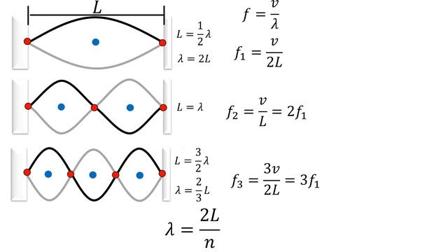 Física | Frecuencia fundamental y armónicos | Ondas estacionarias en una cuerda смотреть онлайн