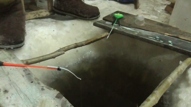 Ловим живцов, проверяем перемет! И все ОК! 27.01.23 смотреть онлайн