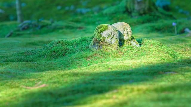 【Buddhism Music】Om Muni Muni Maha Muni Shakya Munaye Soha   Sakyamuni Buddha Mantra 2