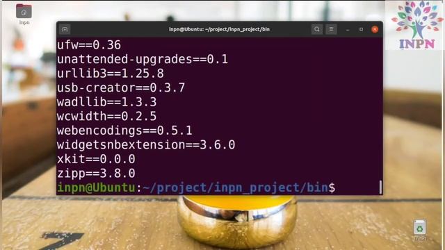 Create Python 3 Virtual Environment Using PiP смотреть онлайн