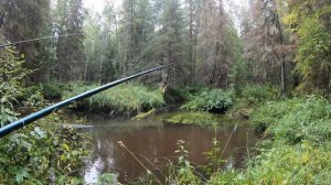 Крупный хариус на мормышку в ручьях среди бескрайних болот.Часть первая.