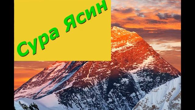 СУРА ЯСИН ПЕРЕД СНОМ. ОТ ВСЕХ ПРОБЛЕМ.