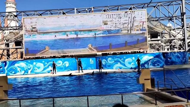 Dolphin Show THE LAND OF LEGENDS THEME PARK ANTALYA