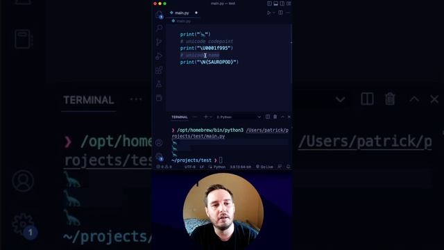How to print emojis in Python (3 options) смотреть онлайн