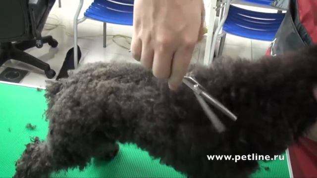 профессиональные ножницы TPC филировочные смотреть онлайн