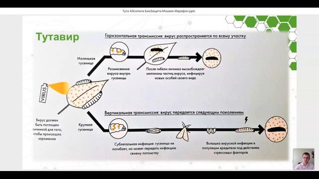 Практические советы для контроля Туты Абсолюты за 10 лет борьбы в разных климатических зонах смотреть онлайн