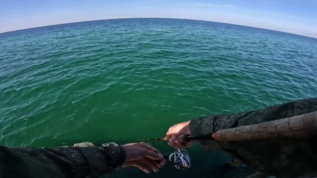 Цирковые Шоу с Трюками и Фокусами