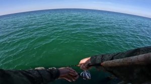 Ловля крупного саргана