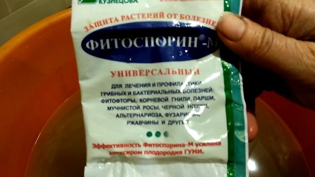 1) ВРЕМЕННАЯ ПОСАДКА САЖЕНЦА ГОРТЕНЗИИ ИЗ КОРОБКИ ? В МАРТЕ⛅?️?️ смотреть онлайн