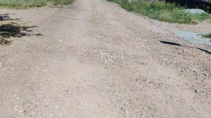 Отпугиватель от собак с алиэкспресс.  Проверяем на бездомных собаках. Будьте бдительны!