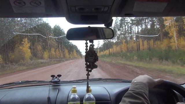 Березовый подлесок в бору поселок Таежный Богучаны 2012 сентябрь смотреть онлайн
