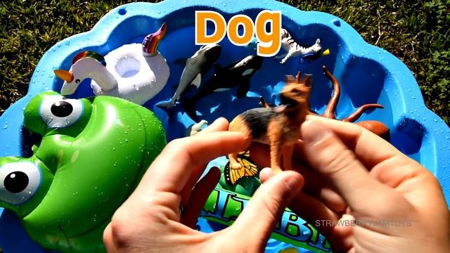 Learn Sea Animals and Wild Zoo Animals Names | Learning With Toys For Kids смотреть онлайн