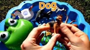Learn Sea Animals and Wild Zoo Animals Names | Learning With Toys For Kids