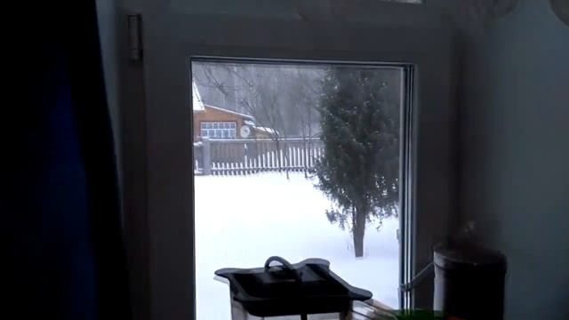 Вечная ЗАКВАСКА для домашнего ХЛЕБУШКА!! смотреть онлайн