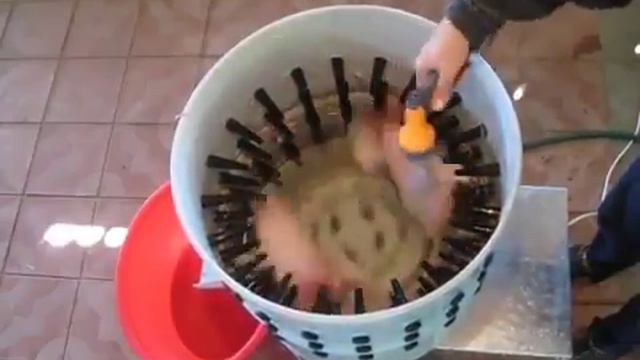 ДЕНЬГИ ДОЛЖНЫ ИДТИ КУРАМИ ИДТИ И КЛЮВАТСЯ ОТ БЫСТРОГО ЭЛИМЕНТА КАЧЕСТВА ОЧИЩЕНИЯ ПРИПОДНОСИТЬ ЛУЧШЕ смотреть онлайн