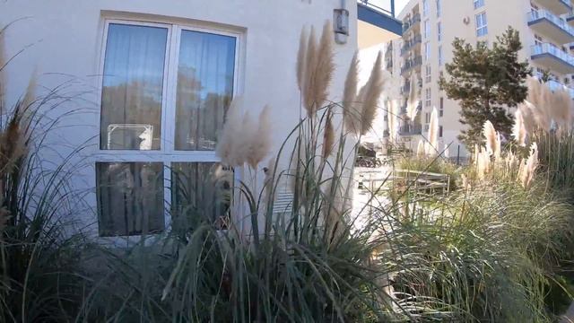 14.11.2k20 Адлер. Не опять а снова !! Рыбалка на чёрном море. Ловля кефали чуларки .. 4К.. смотреть онлайн