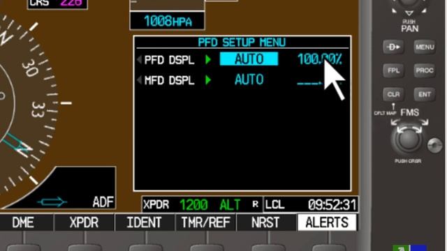 Краткий обзор PFD Garmin G1000 Cessna 172S