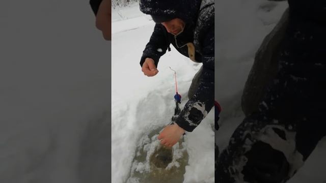 Голавль зимой на реке чусовая 2020 год смотреть онлайн