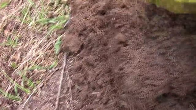 С Фишером за Иваном Грозным. Добираю поле за Сигнумом смотреть онлайн