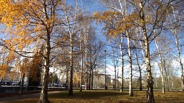 toma de video angular Nikon L810 720p смотреть онлайн