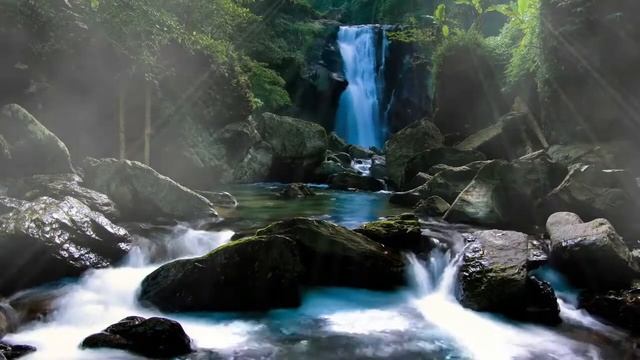 Звуки для сна. Пение птиц в лесу дикой природы. Звуки воды и водопада. Звуки природы.Водопад в лесу