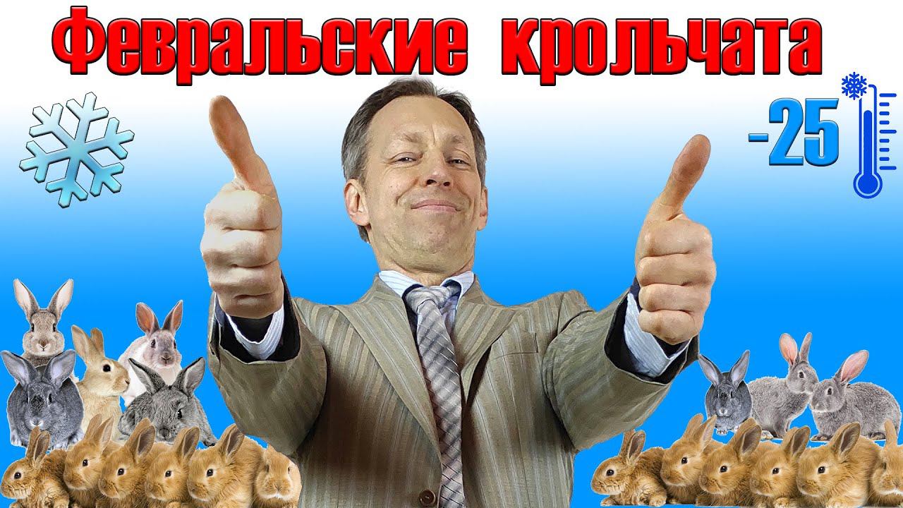 Зима окролам не помеха. Почему февральские крольчата самые ценные смотреть онлайн