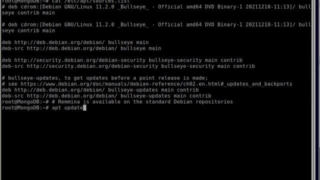 How to install remote desktop client Remmina in Linux Debian 11 (Bullseye) смотреть онлайн