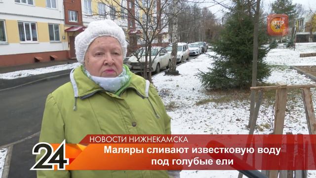 Во дворе одного из домов в Нижнекамске маляры выливают известковую воду под голубые ели смотреть онлайн