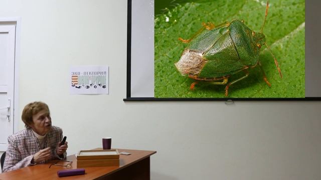 Клопы (полужесткокрылые, Heteroptera) Самарской области Эко лекторий 2022-16 Ирина Дюжаева смотреть онлайн