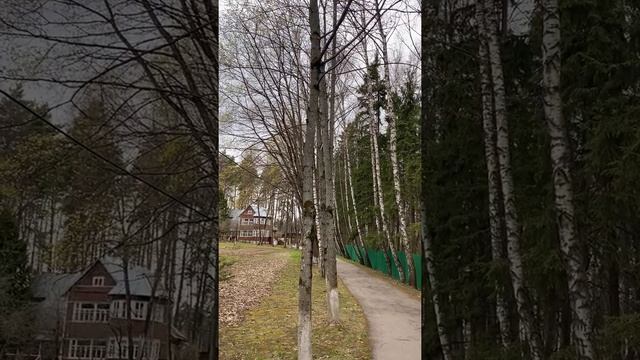 Борис Пастернак "Доктор Живаго". История о рукописи. смотреть онлайн
