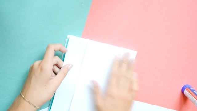 DIY:канцелярия с КАКТУСАМИ♡BACK TO SCHOOL♡Dikaya Ariana смотреть онлайн