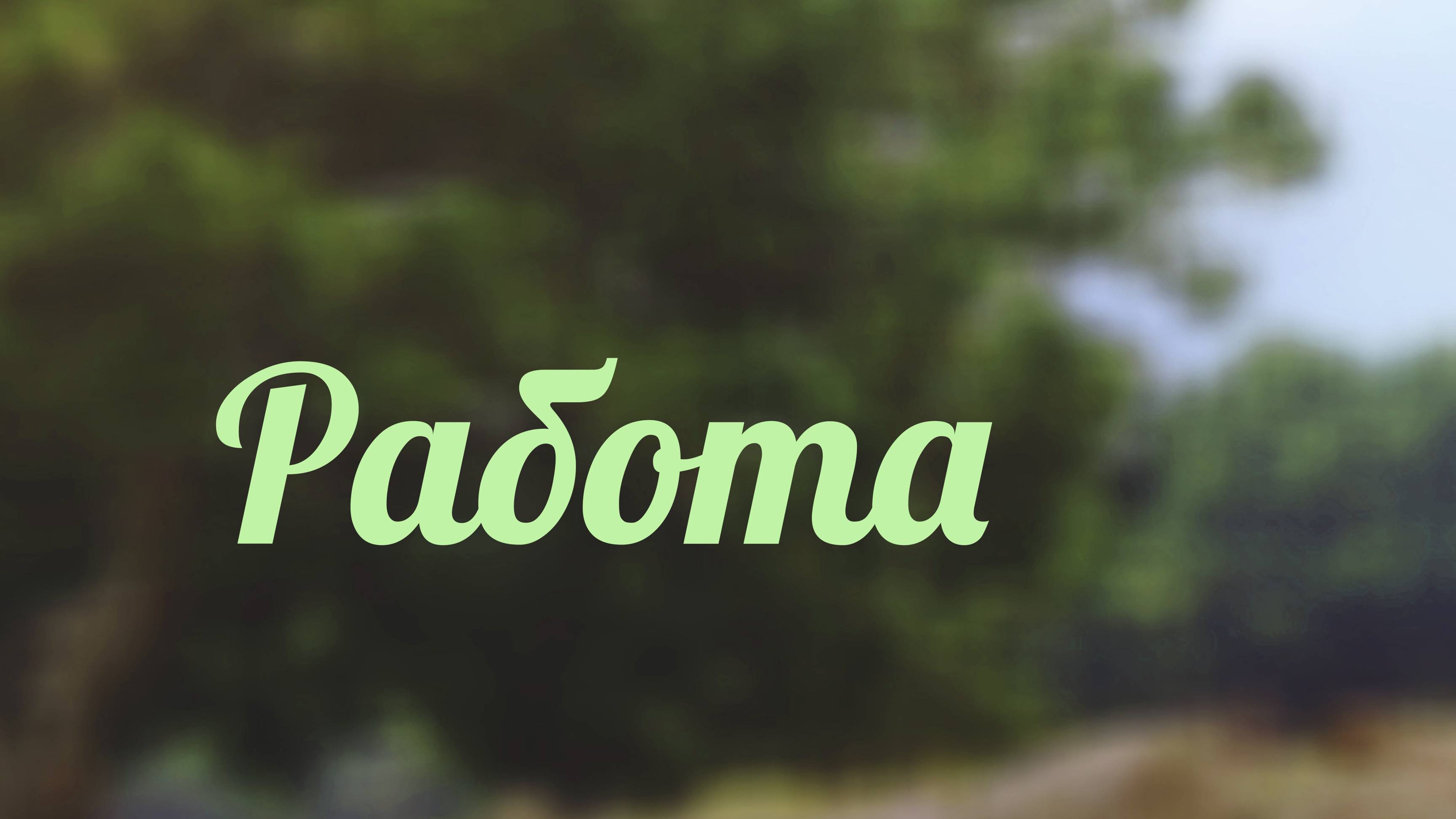 BS217 Rus 5. Работа и современность