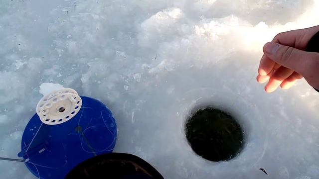 ЭТИ ЩУКИ РЕЖУТ ПОВОДКИ!!! Только раставились и тут понеслась... Ловля щуки на ЖЕРЛИЦЫ 2020 - 2021. смотреть онлайн
