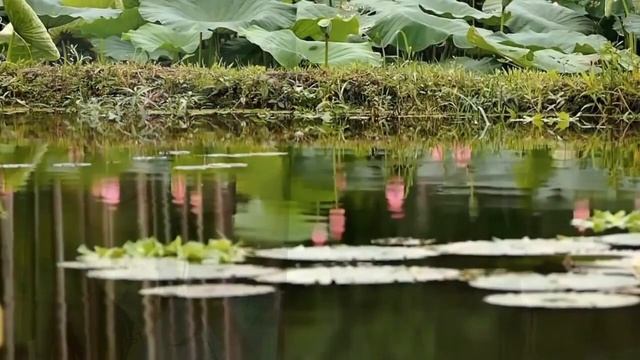 Презентация ко дню матери "Любовь мамы всегда со мной". смотреть онлайн
