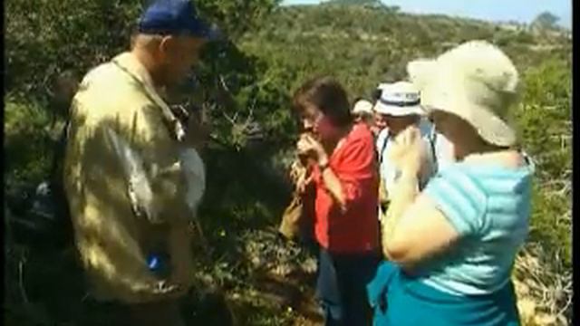 The Flora Of Cyprus