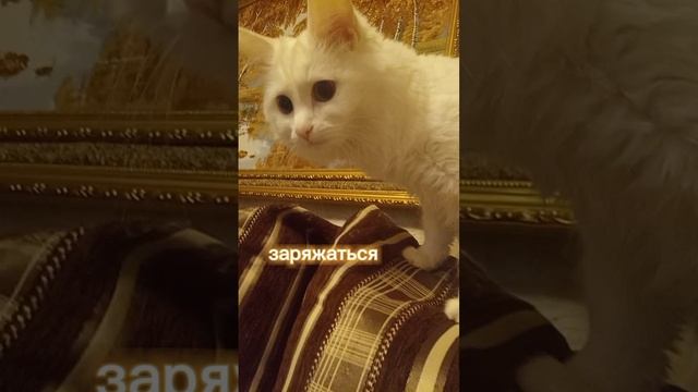 Удачной недели